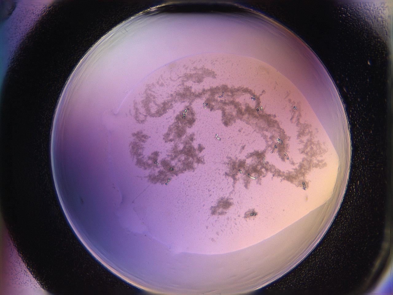 05qe_F5_ImagerDefaults_7.jpg