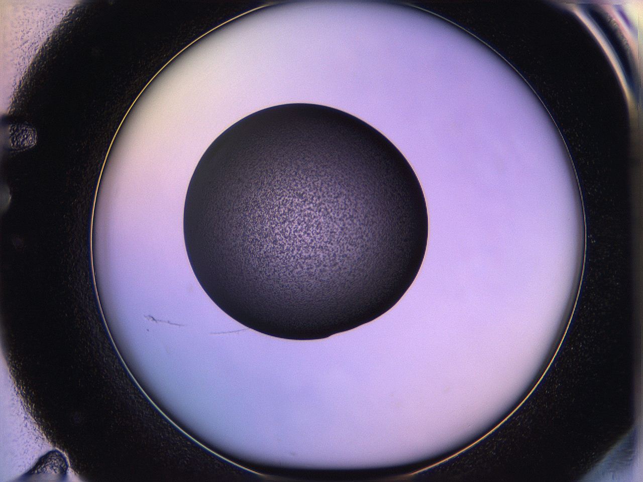 05qe_F11_ImagerDefaults_3.jpg