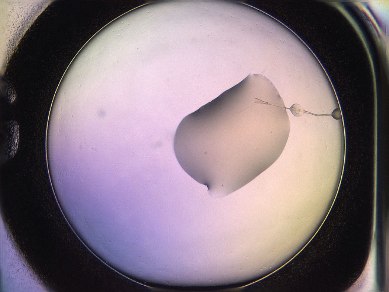 05qe_G1_ImagerDefaults_1.jpg