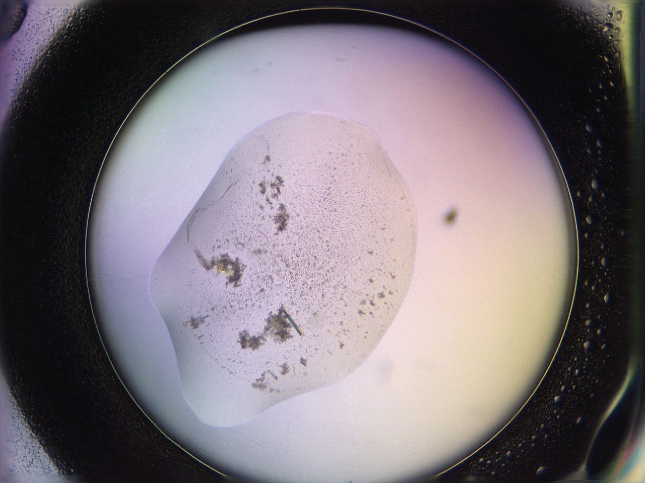 05qe_G8_ImagerDefaults_9.jpg