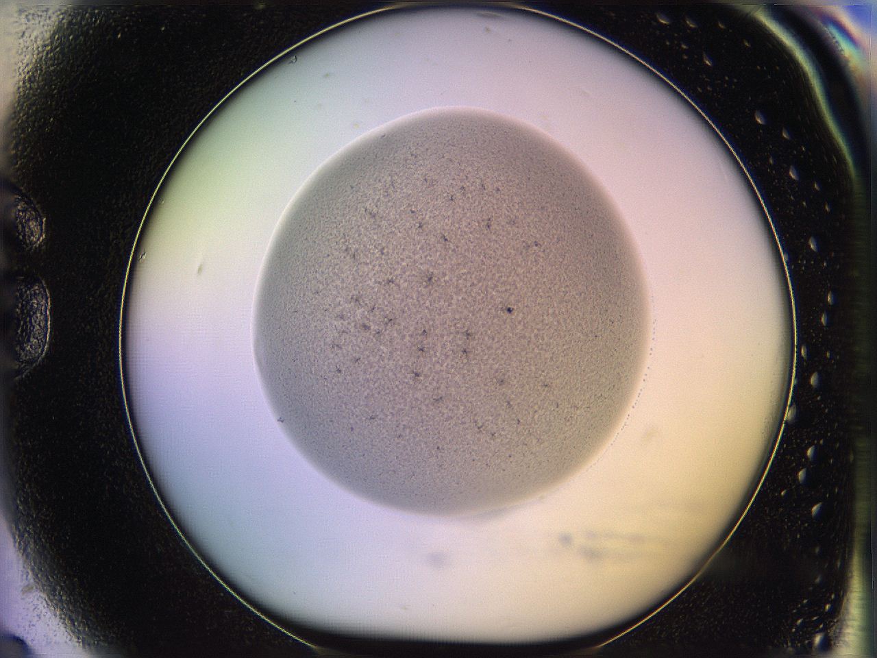 05qe_G9_ImagerDefaults_2.jpg