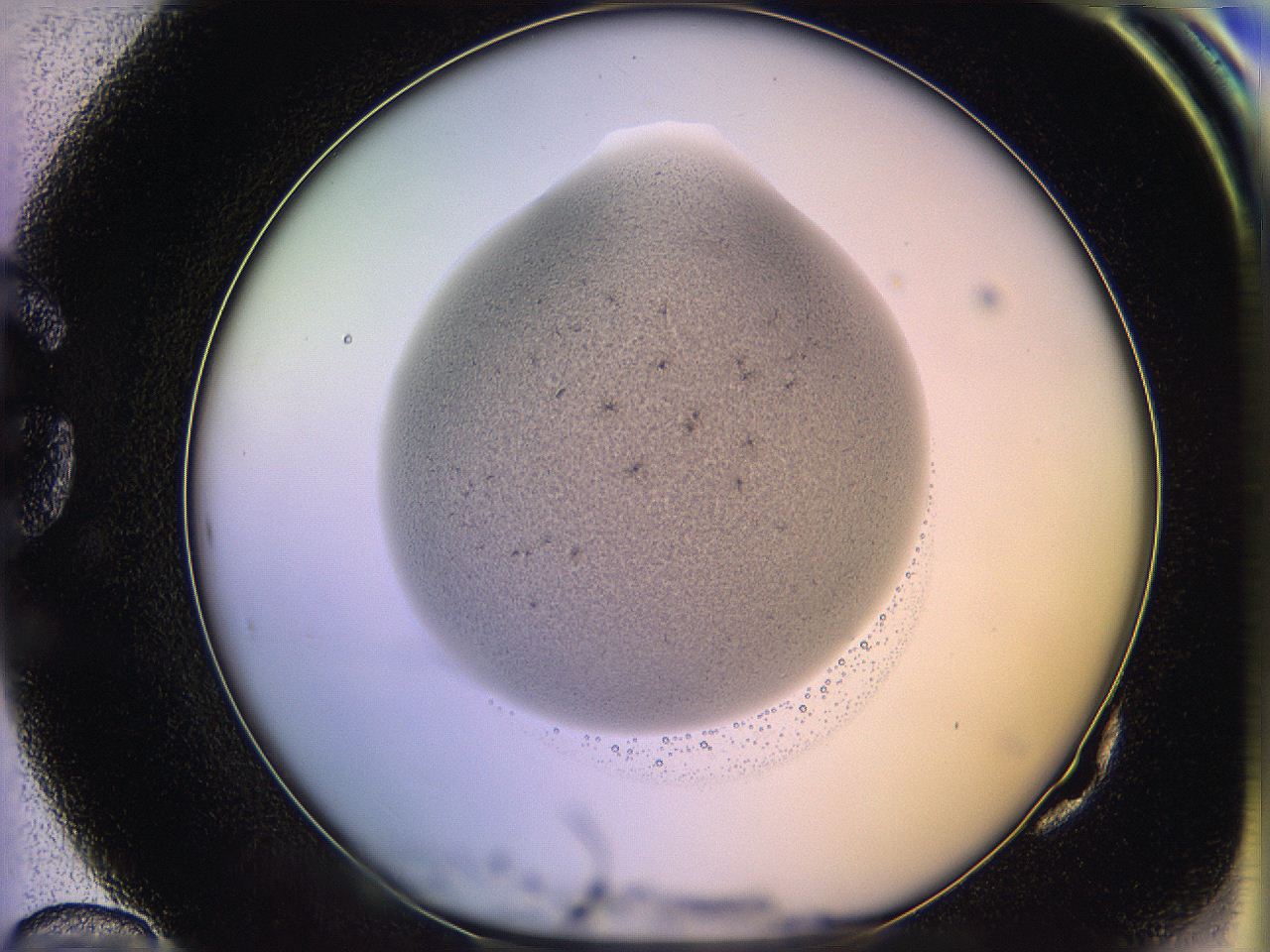 05qe_G10_ImagerDefaults_3.jpg