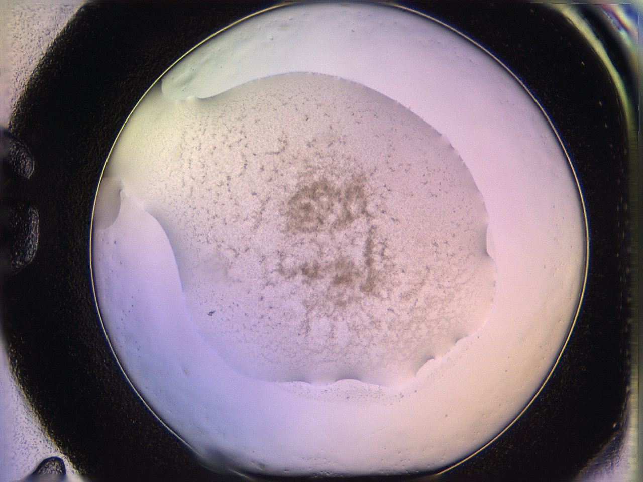 05qe_G11_ImagerDefaults_3.jpg