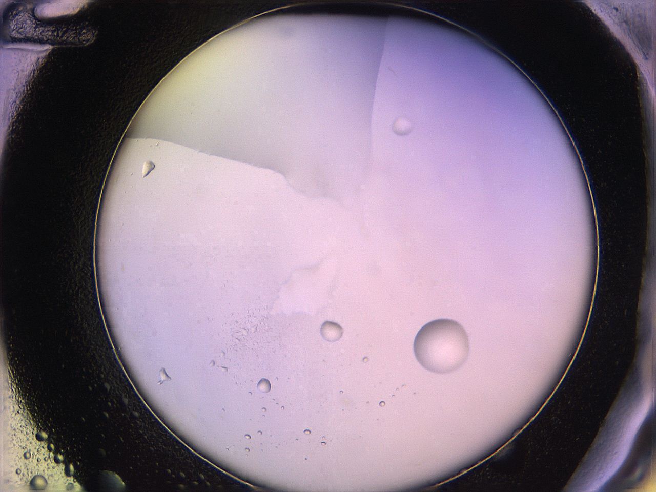 05qe_G12_ImagerDefaults_1.jpg