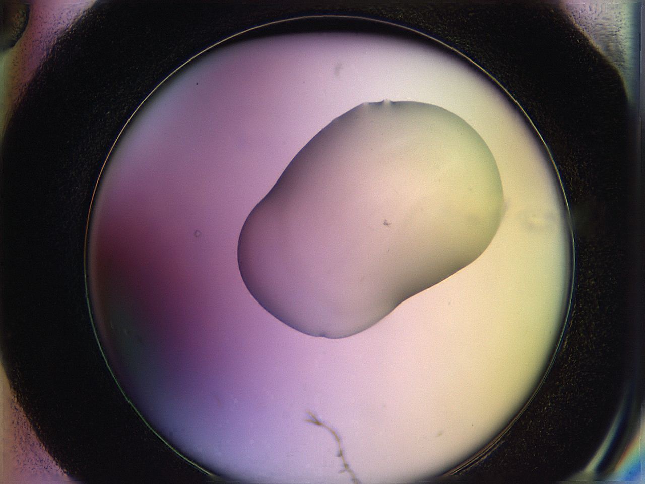 05qe_H6_ImagerDefaults_1.jpg