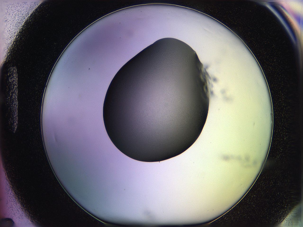 05qe_H7_ImagerDefaults_2.jpg