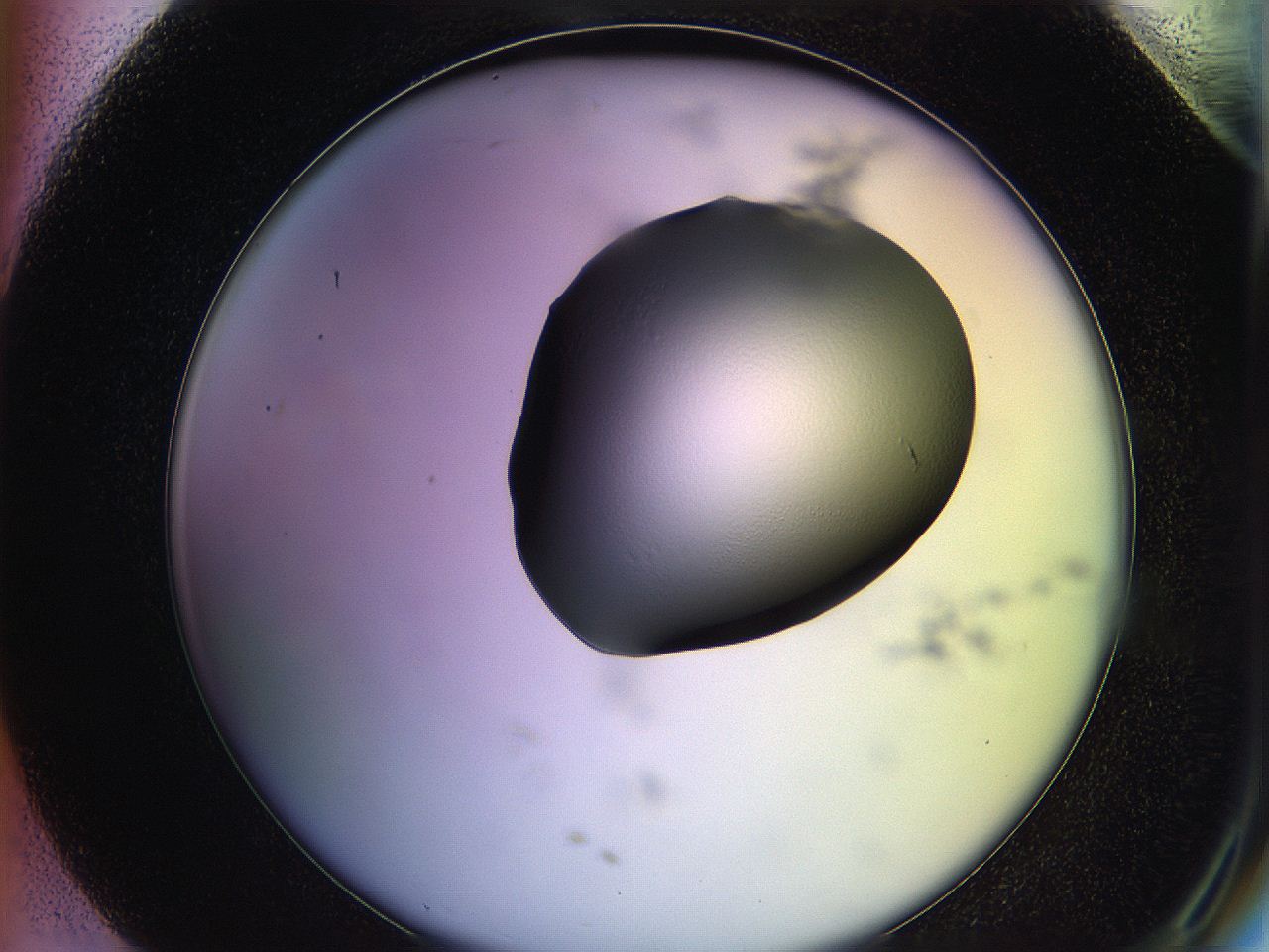 05qe_H7_ImagerDefaults_1.jpg