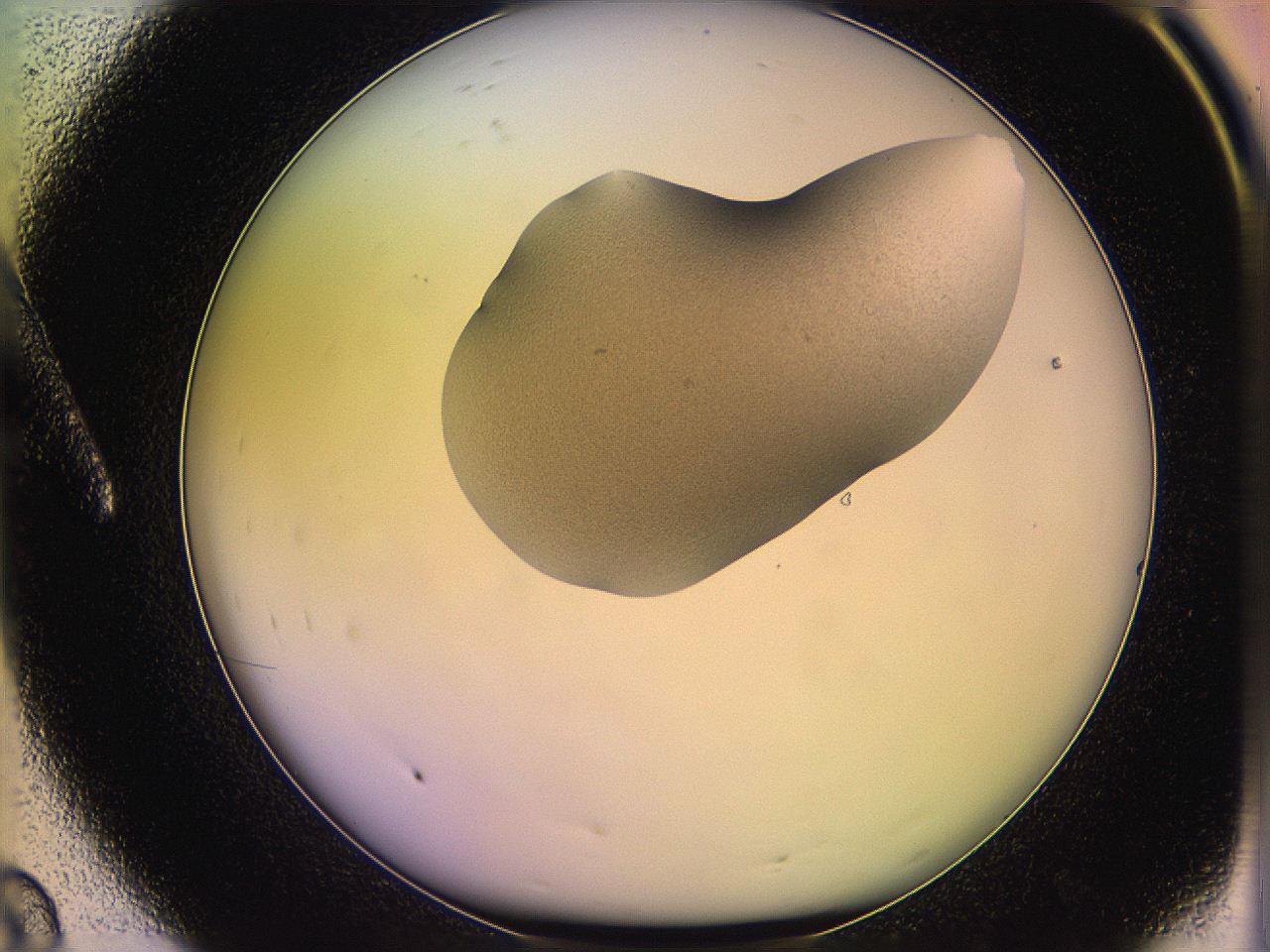 05qf_A8_ImagerDefaults_3.jpg