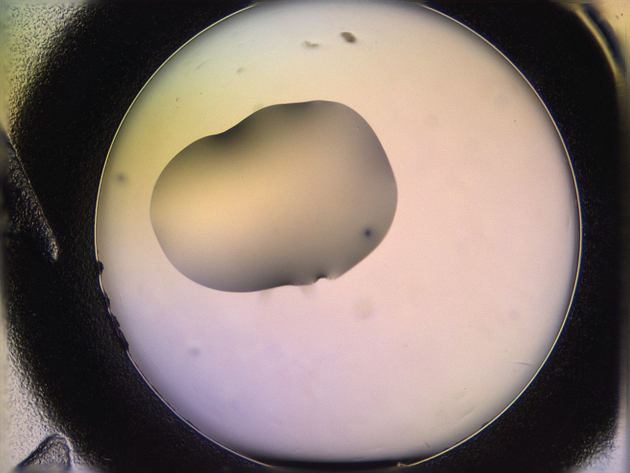 05qf_A11_ImagerDefaults_1.jpg