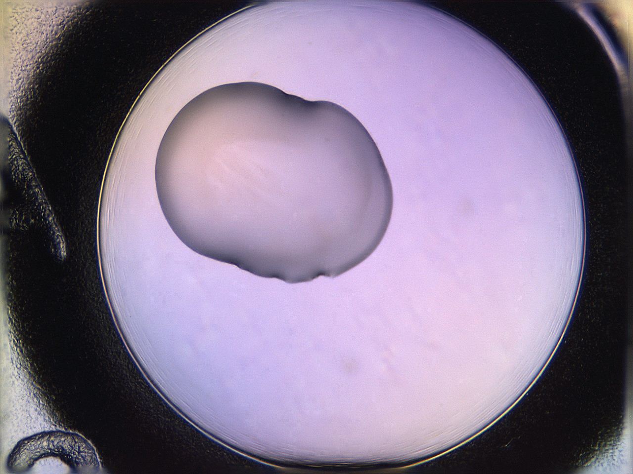 05qf_A12_ImagerDefaults_1.jpg