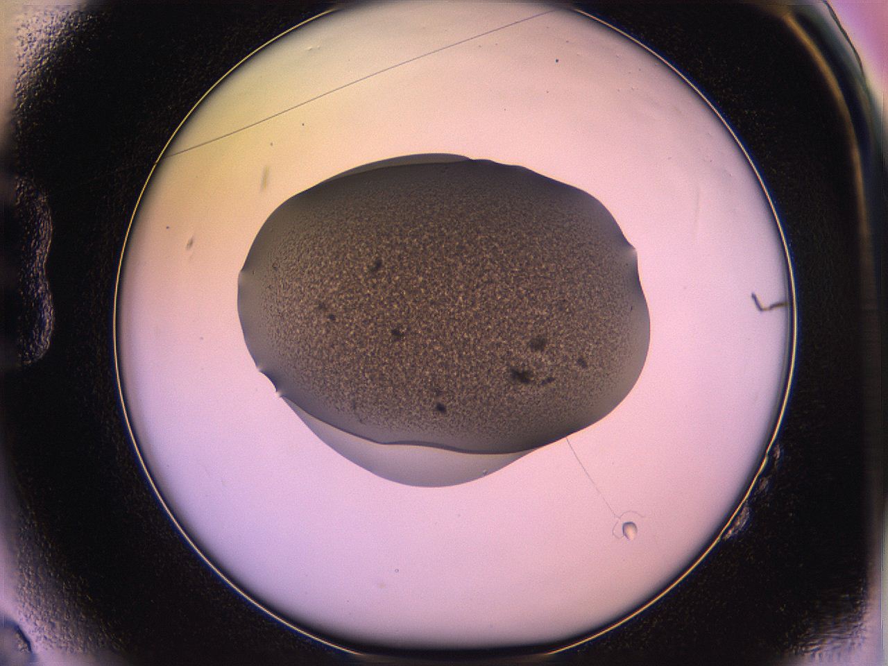 05qf_B2_ImagerDefaults_3.jpg