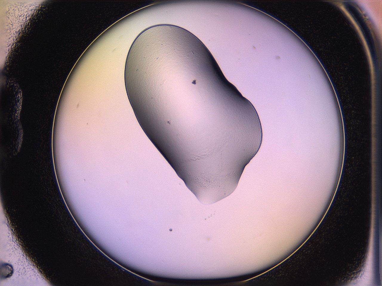 05qf_B5_ImagerDefaults_1.jpg