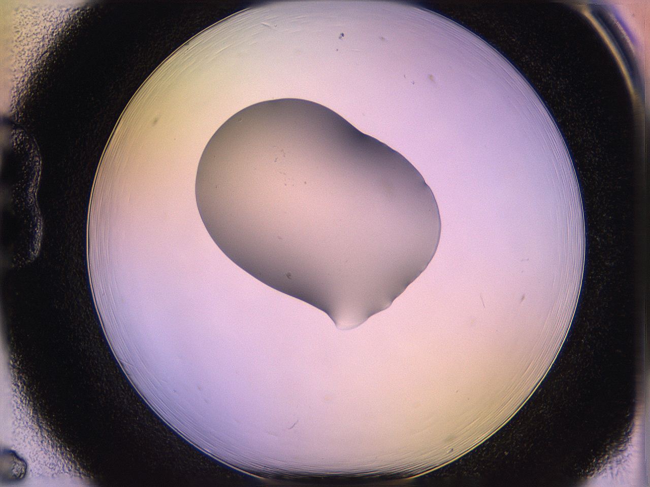 05qf_B6_ImagerDefaults_1.jpg