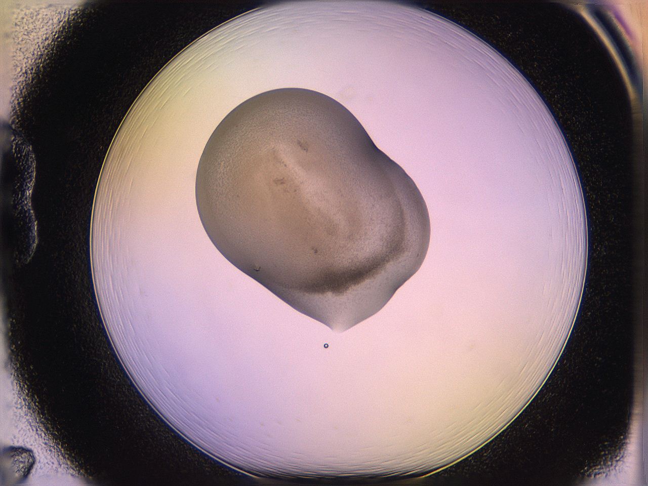 05qf_B7_ImagerDefaults_3.jpg