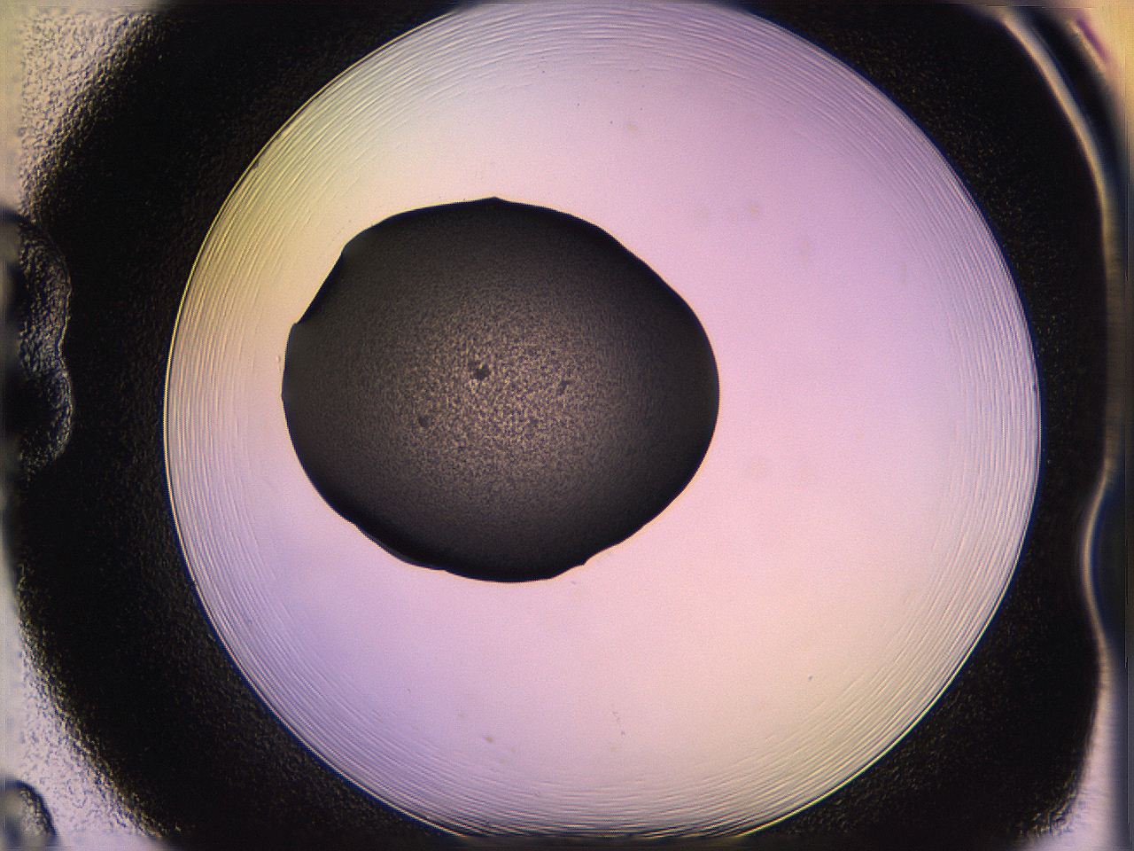 05qf_B8_ImagerDefaults_3.jpg