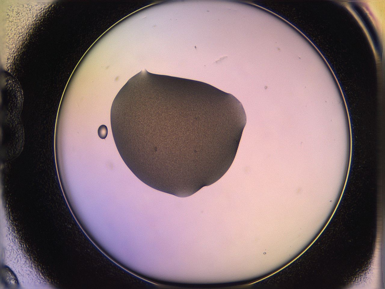 05qf_B9_ImagerDefaults_3.jpg