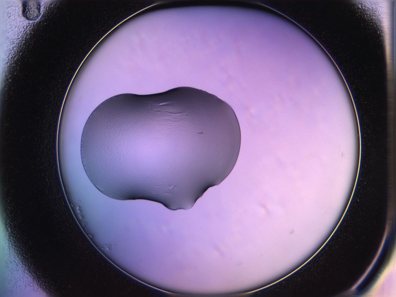 05qf_B11_ImagerDefaults_1.jpg