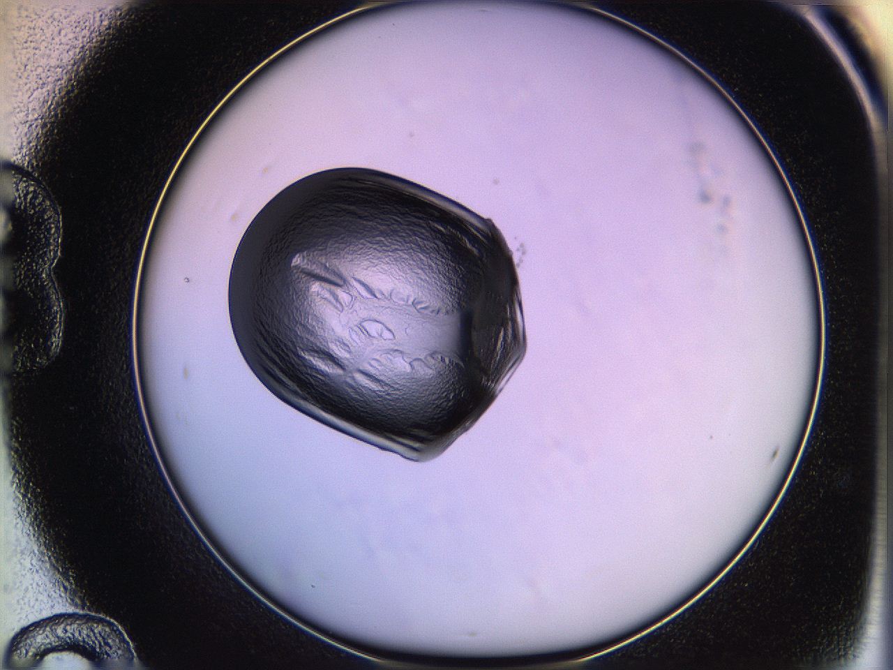 05qf_B12_ImagerDefaults_2.jpg