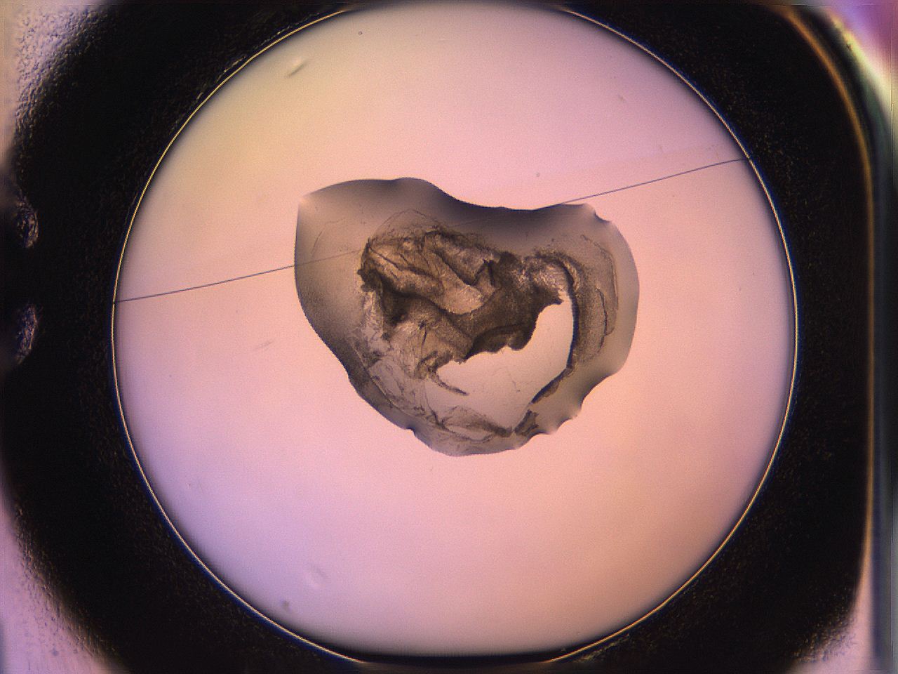 05qf_C1_ImagerDefaults_3.jpg
