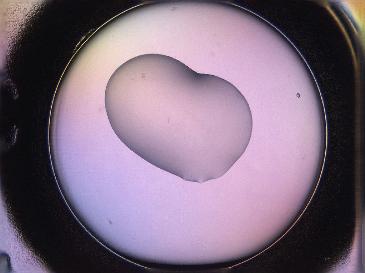 05qf_C4_ImagerDefaults_1.jpg