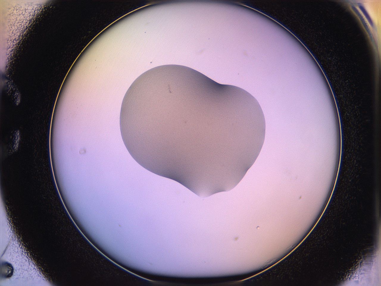 05qf_C5_ImagerDefaults_3.jpg