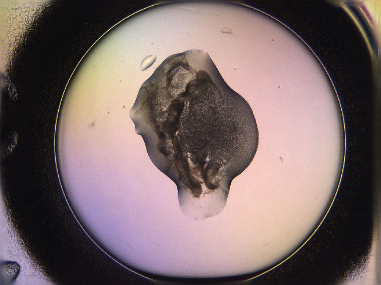 05qf_C7_ImagerDefaults_3.jpg