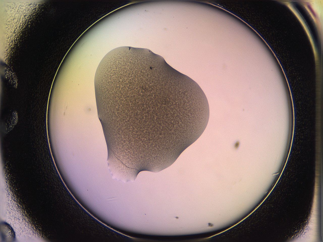 05qf_C8_ImagerDefaults_3.jpg