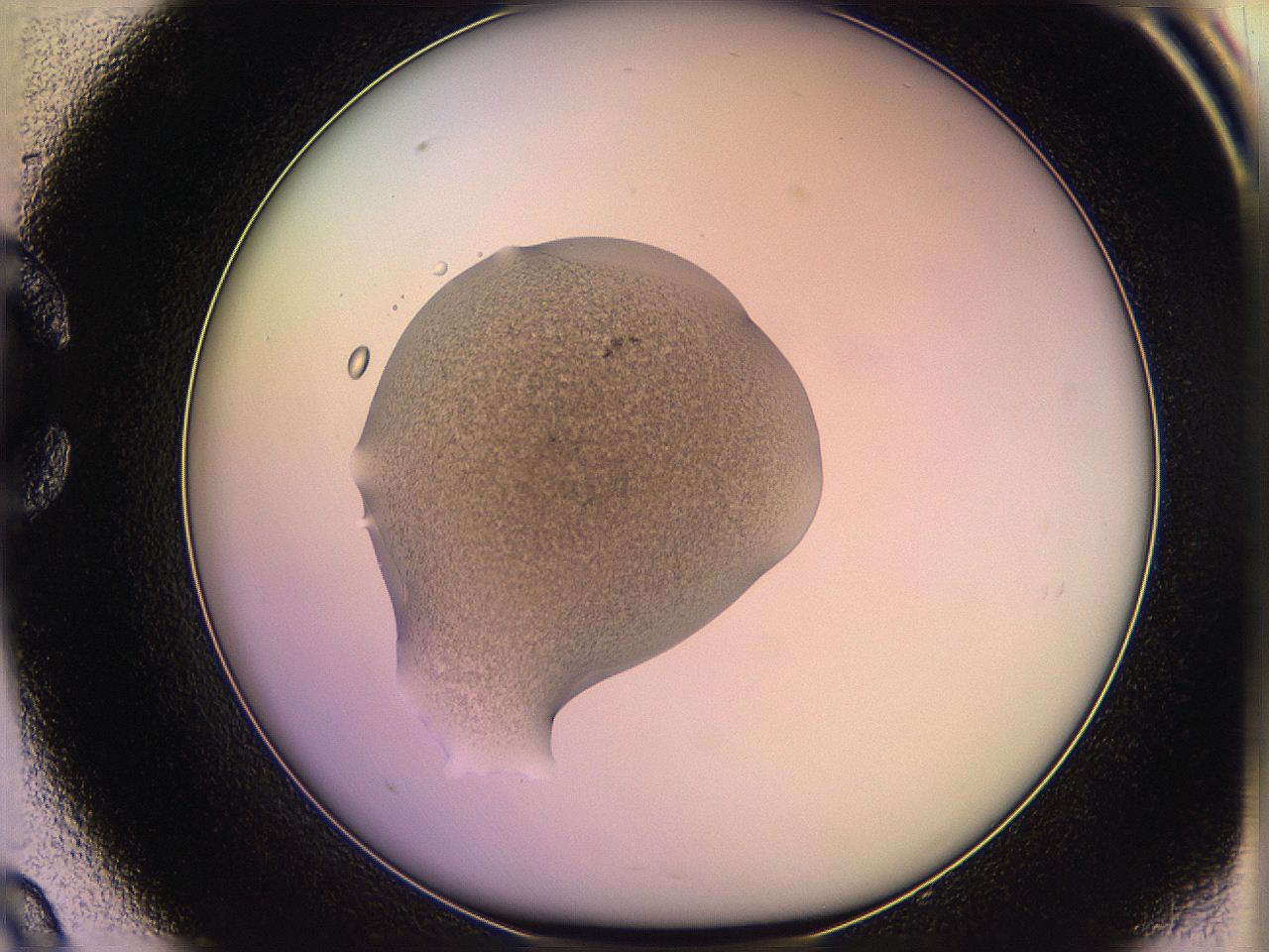 05qf_C9_ImagerDefaults_3.jpg