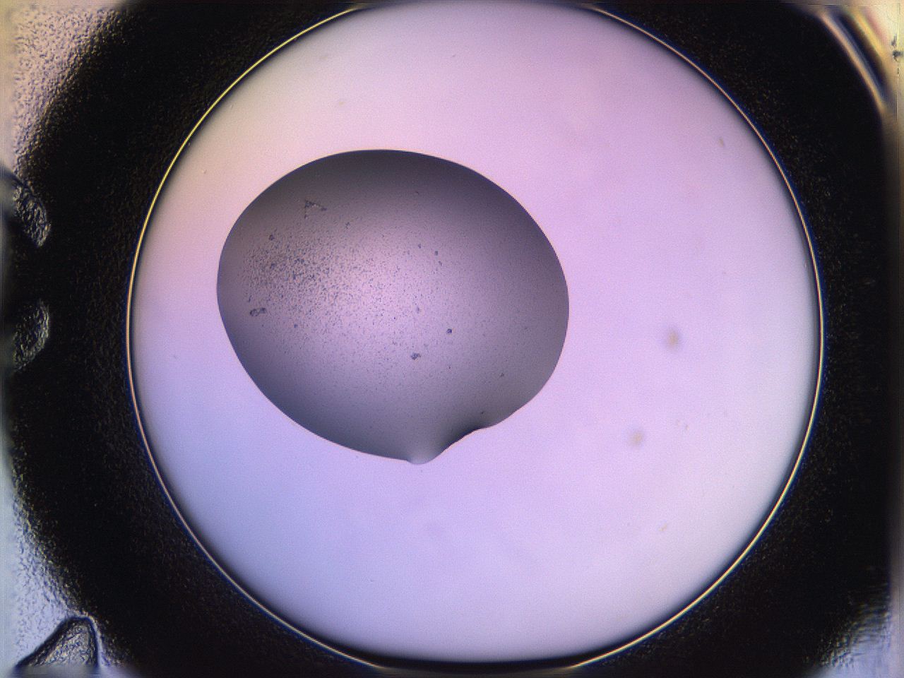 05qf_C11_ImagerDefaults_3.jpg