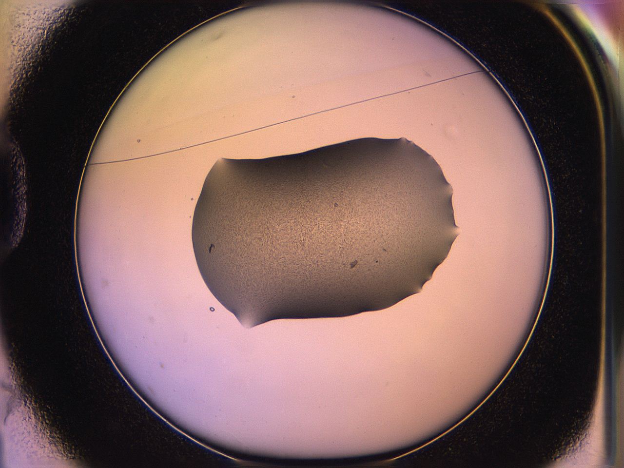 05qf_D1_ImagerDefaults_3.jpg