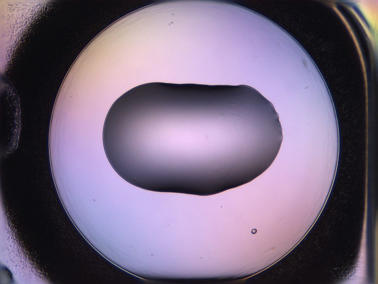 05qf_D3_ImagerDefaults_1.jpg