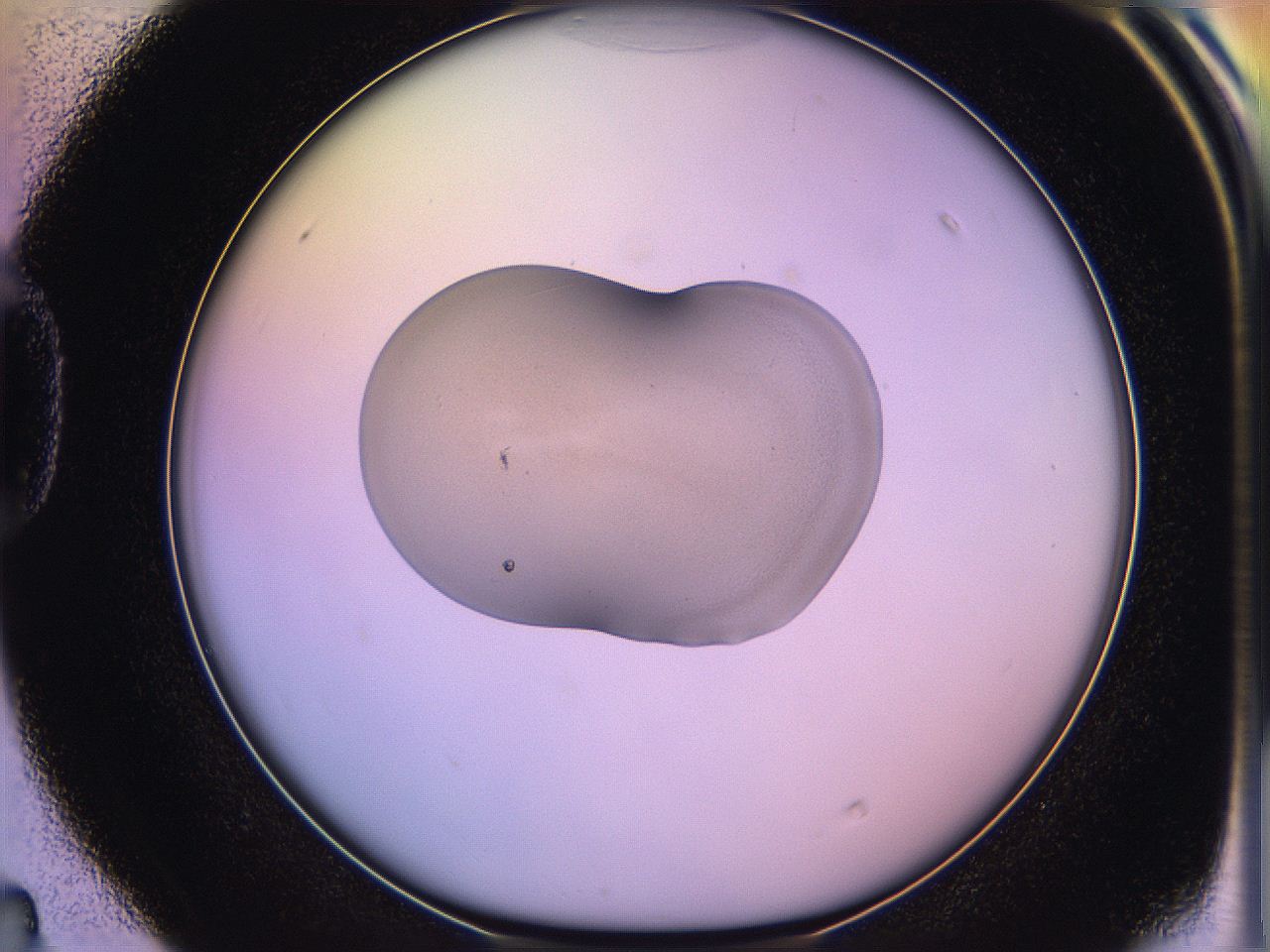 05qf_D4_ImagerDefaults_1.jpg