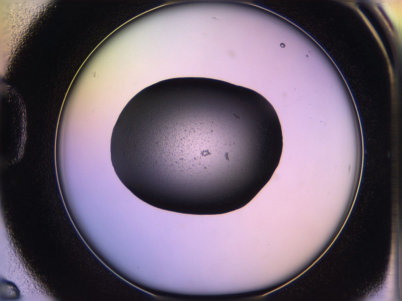 05qf_D6_ImagerDefaults_3.jpg