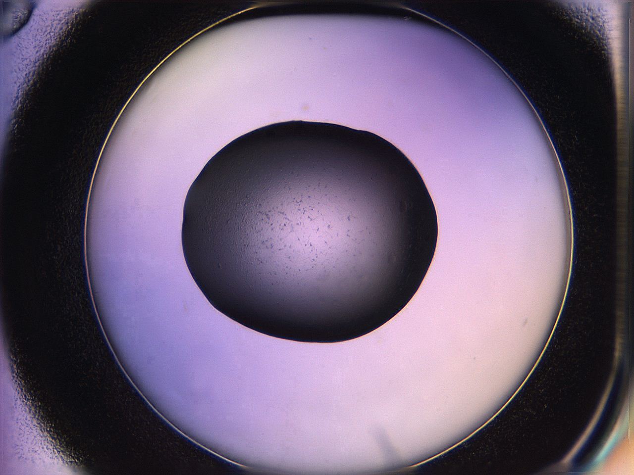 05qf_D6_ImagerDefaults_2.jpg