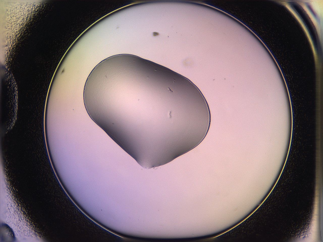05qf_D8_ImagerDefaults_1.jpg