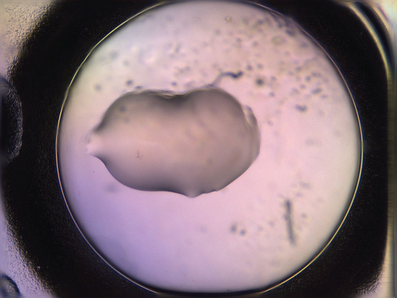 05qf_D9_ImagerDefaults_1.jpg