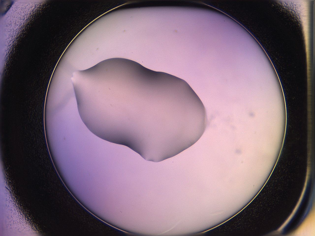 05qf_D9_ImagerDefaults_2.jpg