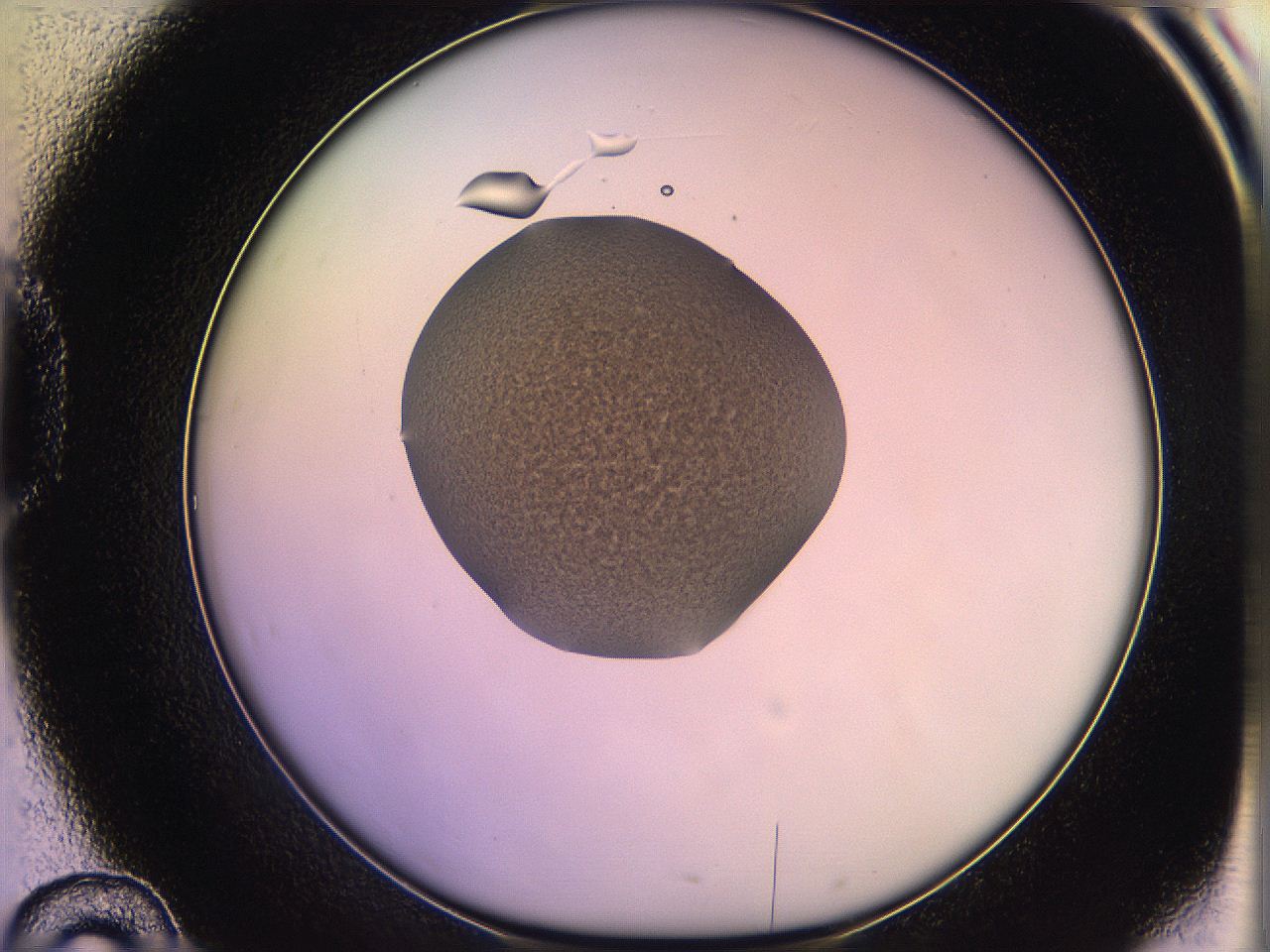 05qf_D10_ImagerDefaults_3.jpg