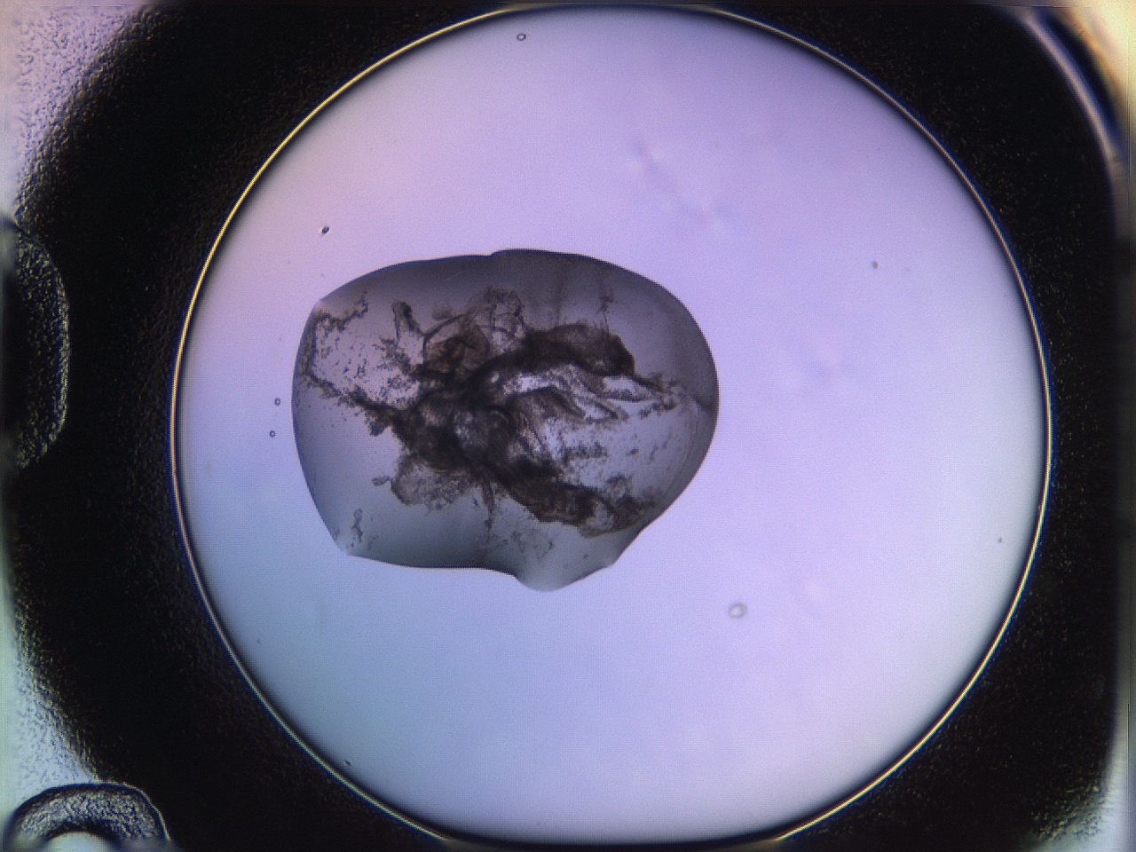 05qf_D12_ImagerDefaults_3.jpg