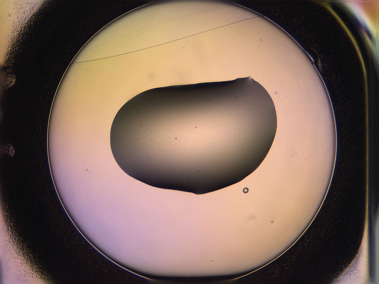 05qf_E1_ImagerDefaults_3.jpg