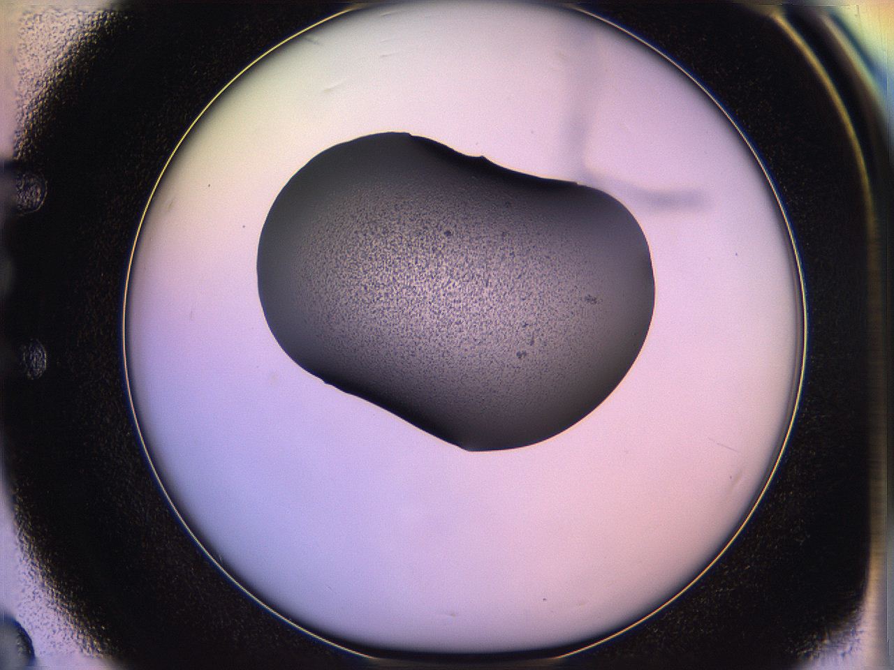 05qf_E3_ImagerDefaults_3.jpg