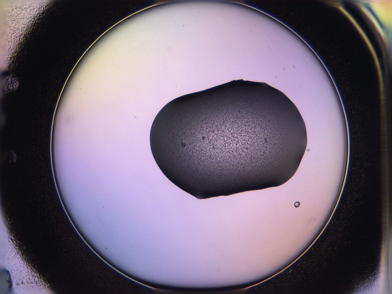 05qf_E4_ImagerDefaults_3.jpg
