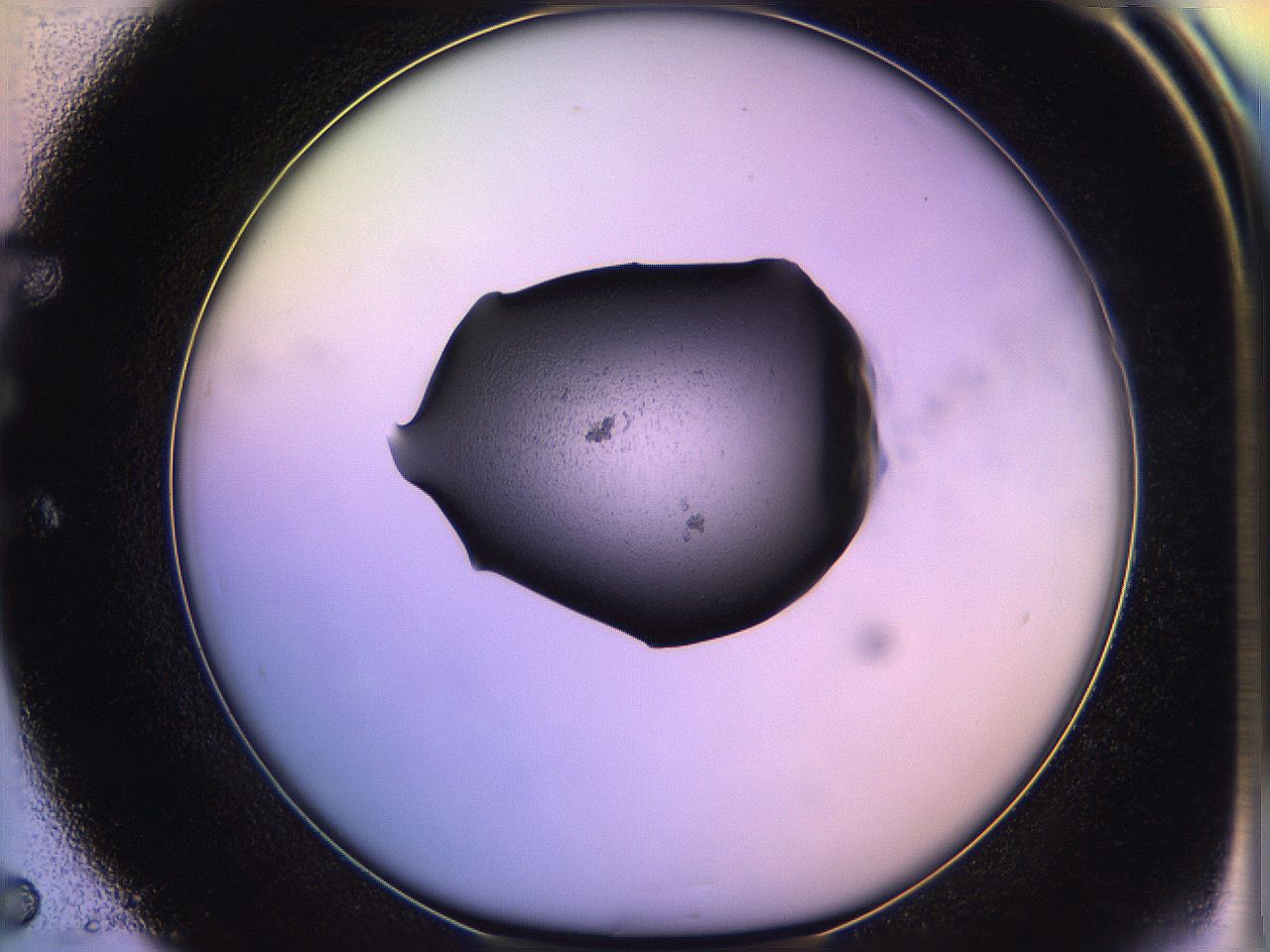 05qf_E5_ImagerDefaults_1.jpg