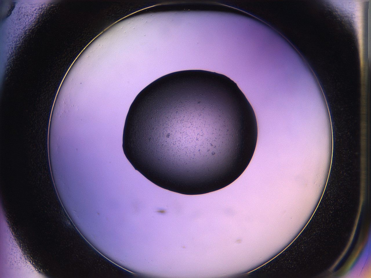 05qf_E5_ImagerDefaults_5.jpg