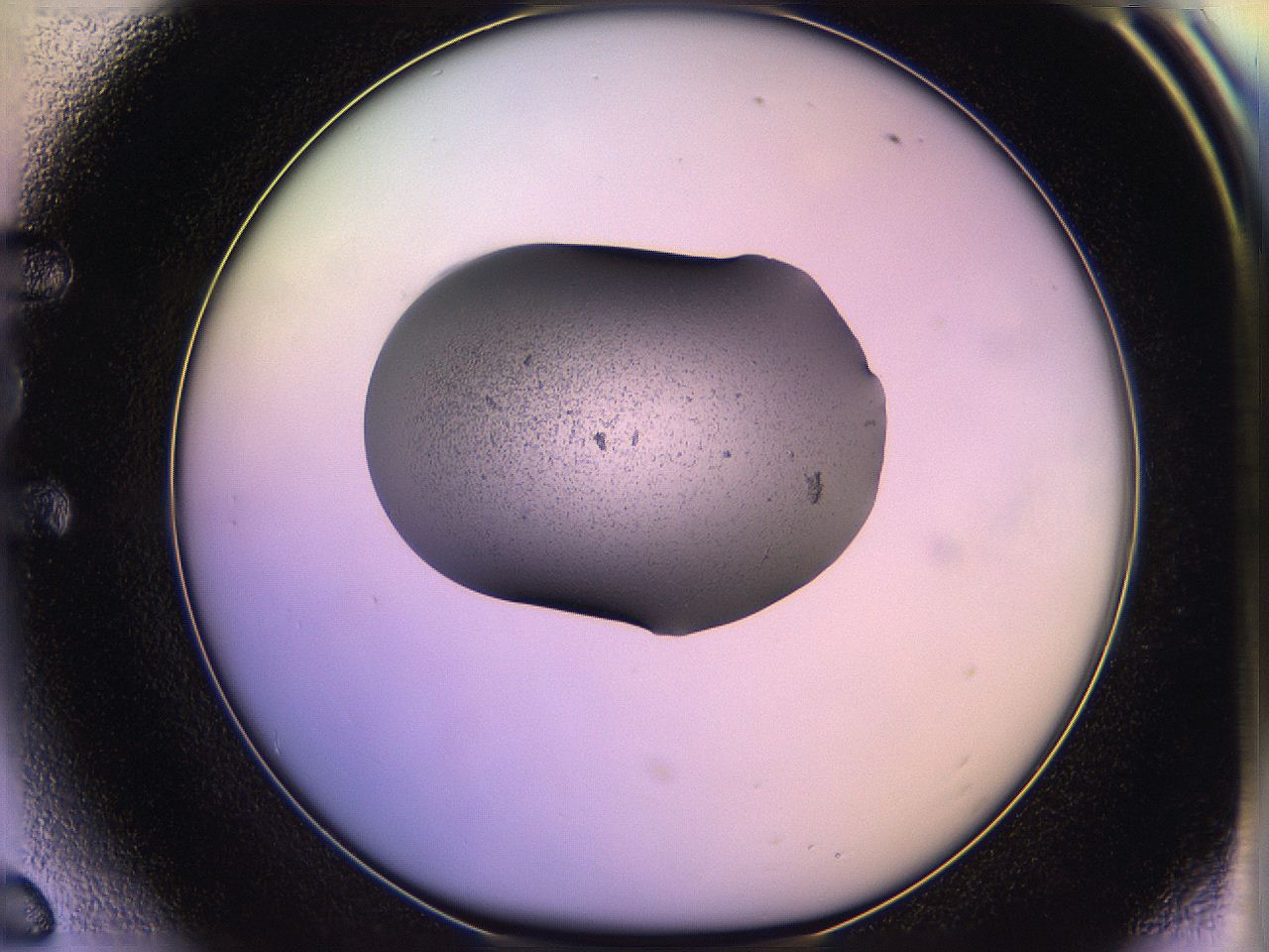 05qf_E6_ImagerDefaults_3.jpg
