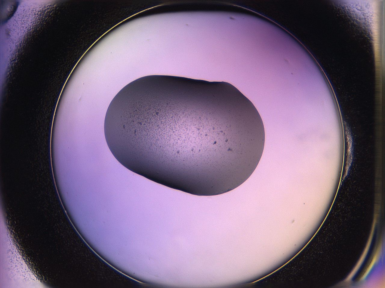 05qf_E6_ImagerDefaults_5.jpg