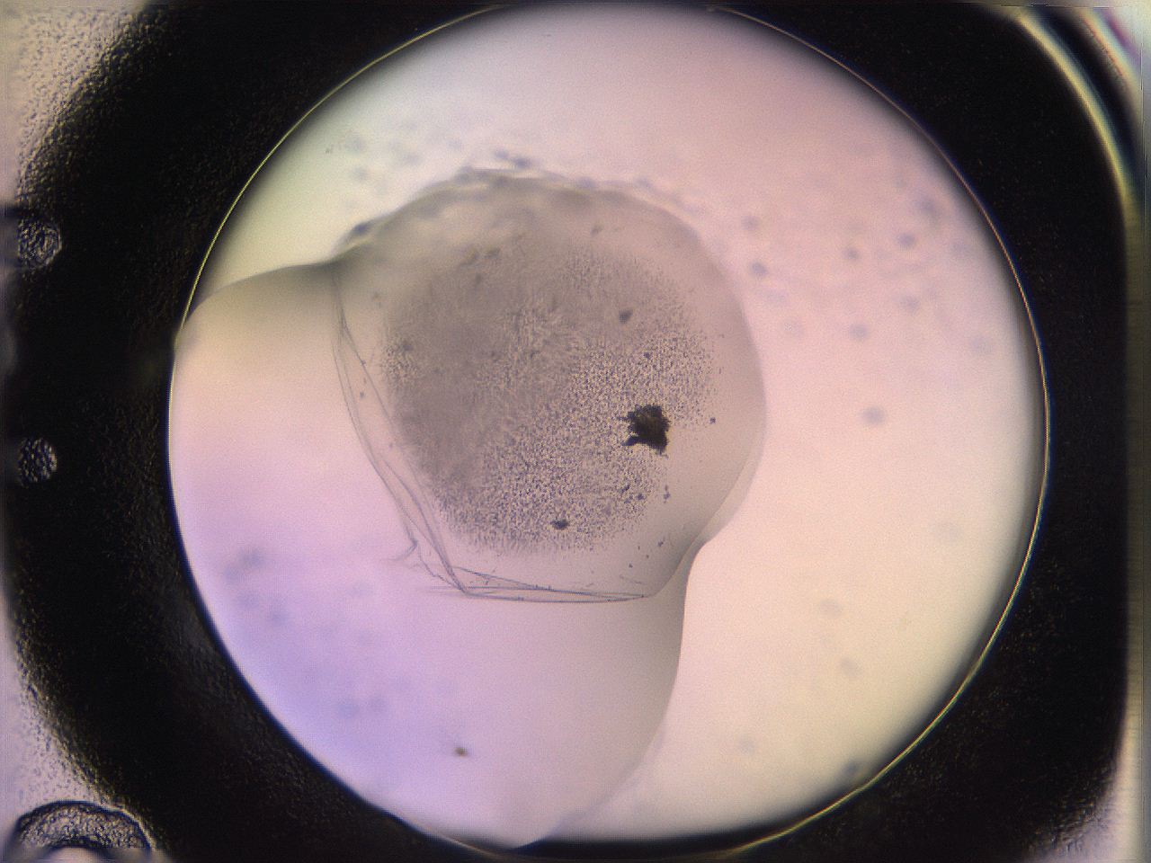 05qf_E10_ImagerDefaults_3.jpg