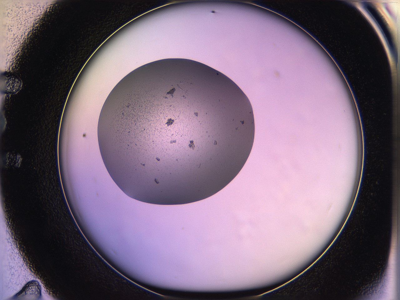 05qf_E11_ImagerDefaults_3.jpg