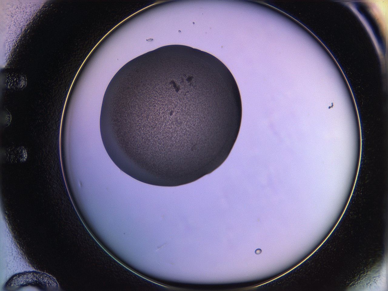 05qf_E12_ImagerDefaults_3.jpg