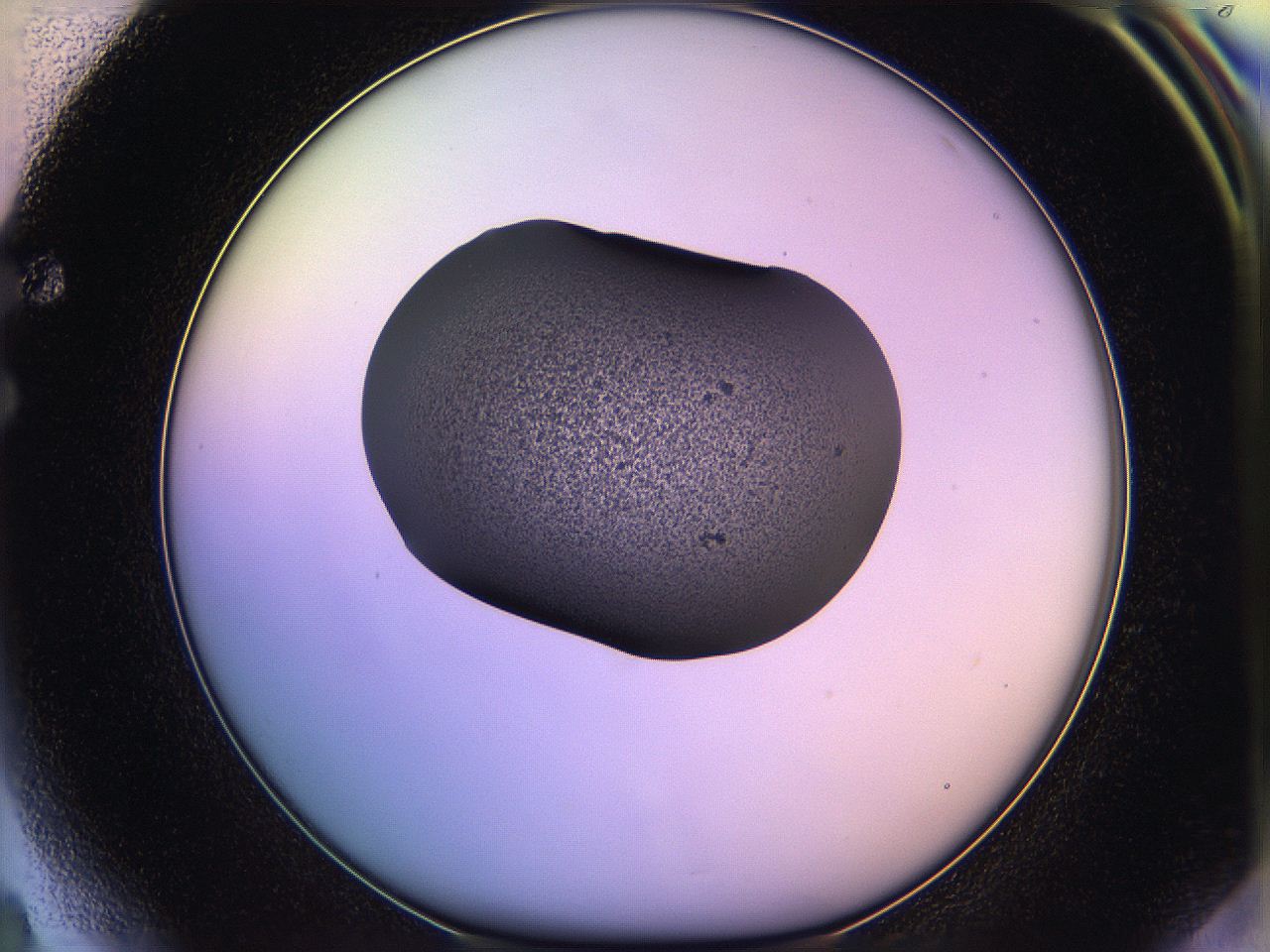 05qf_F4_ImagerDefaults_3.jpg